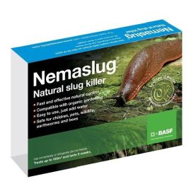 Slug Nematodes