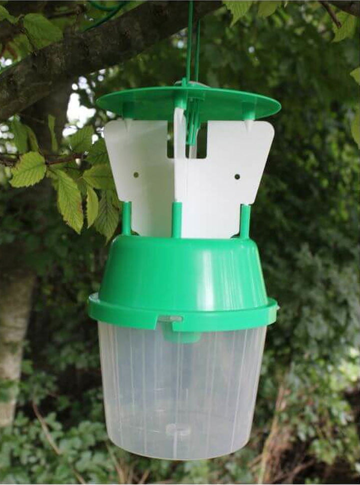 Raspberry Beetle Trap - Garden Netting