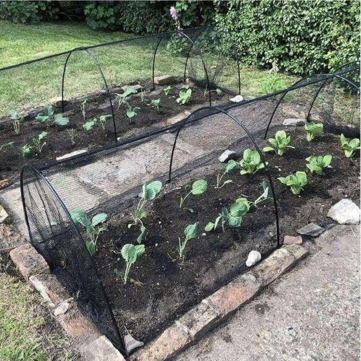 black butterfly netting