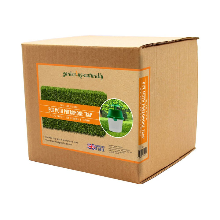 box moth pheromone trap