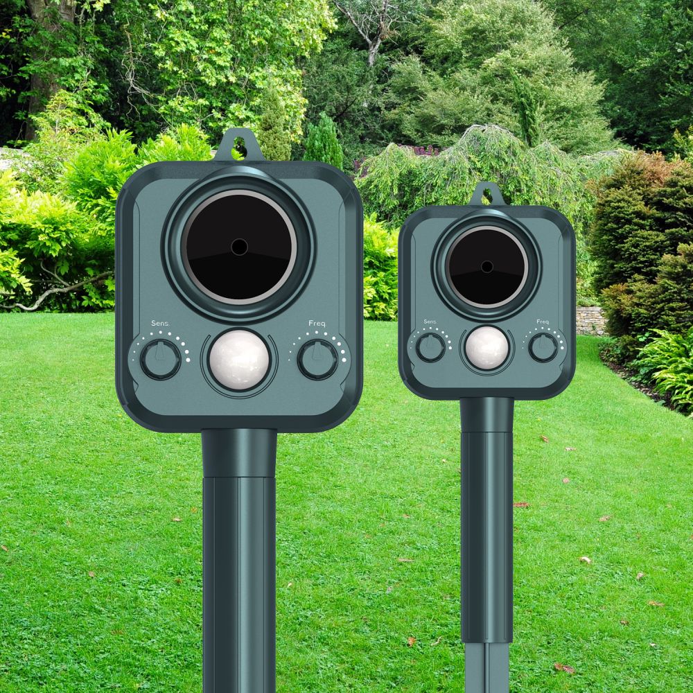 two cat repellents in the garden