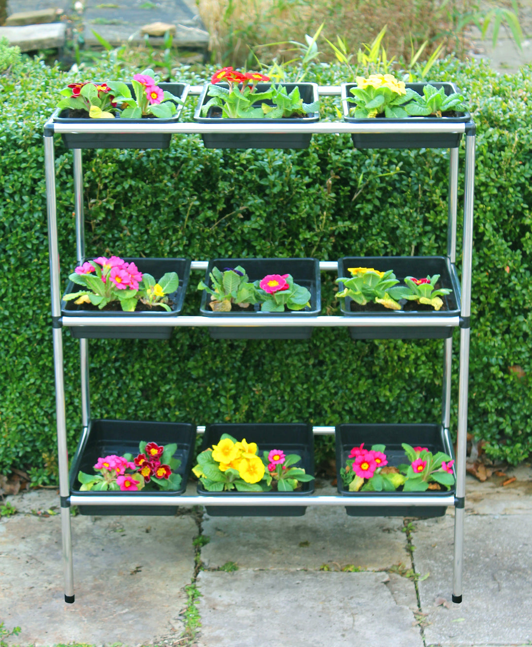 Seed Tray Stand for Growing