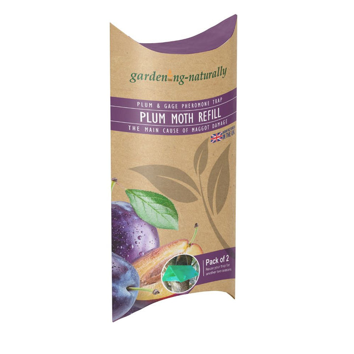 Plum Moth Traps