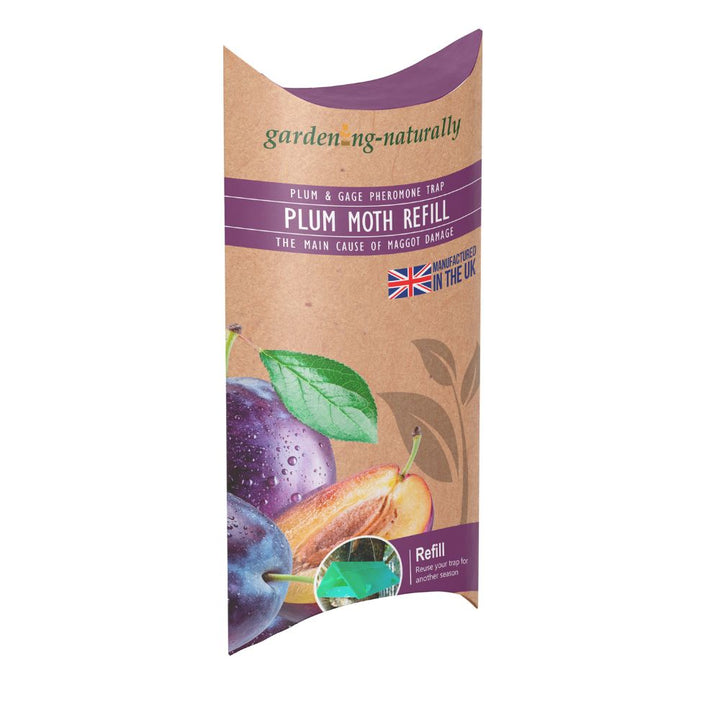 Plum Moth Traps