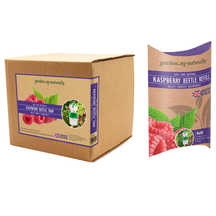 raspberry beetle trap with refill