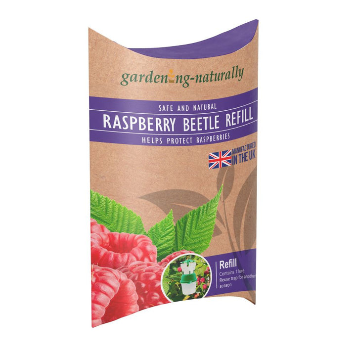 raspberry refill for beetle trap