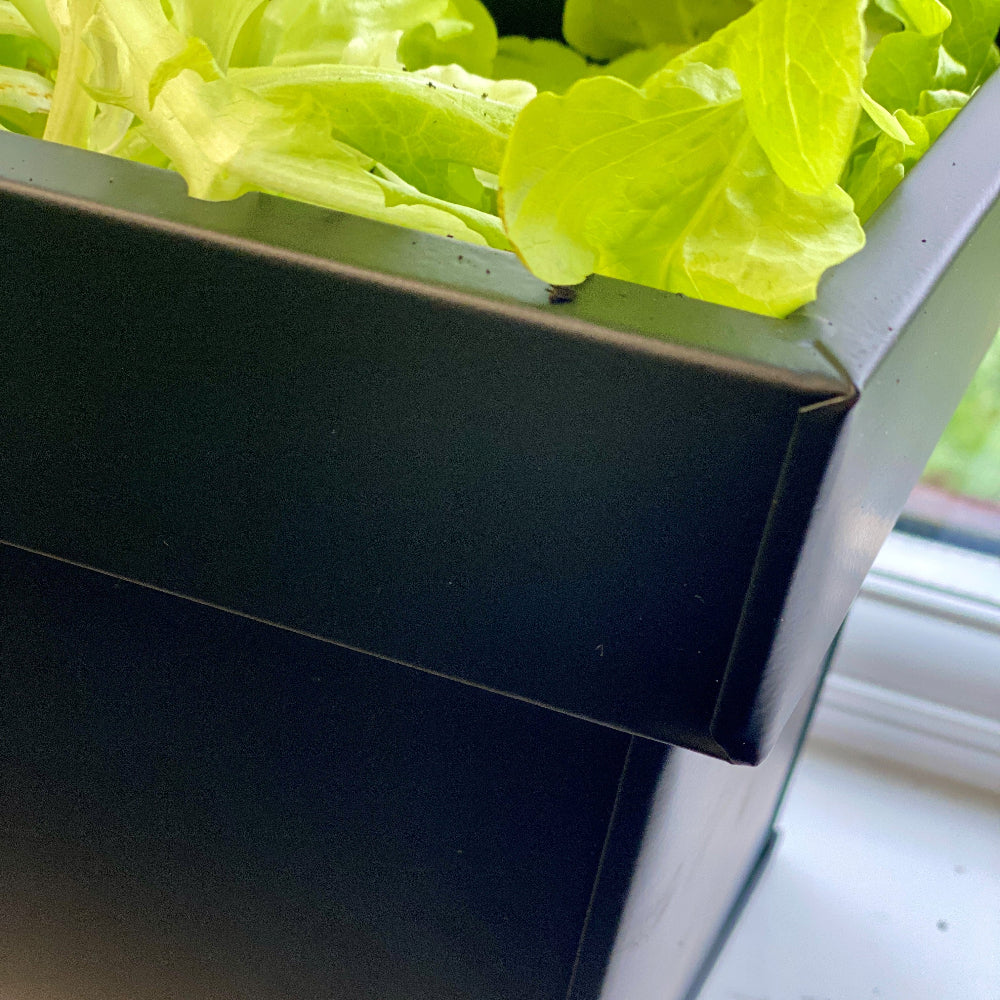 black trough corner