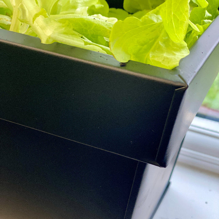 black trough corner