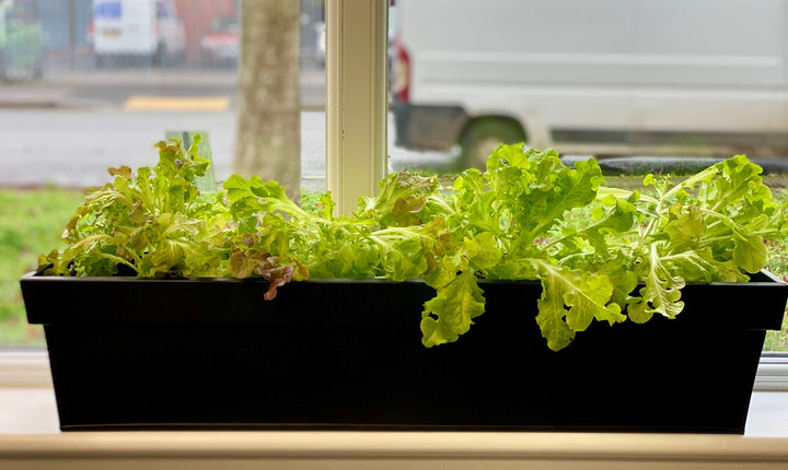 large windowsill planter in black
