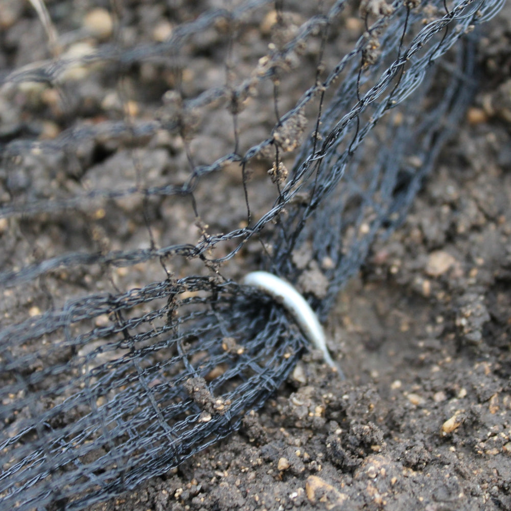 How to Secure Garden Netting in Windy Weather