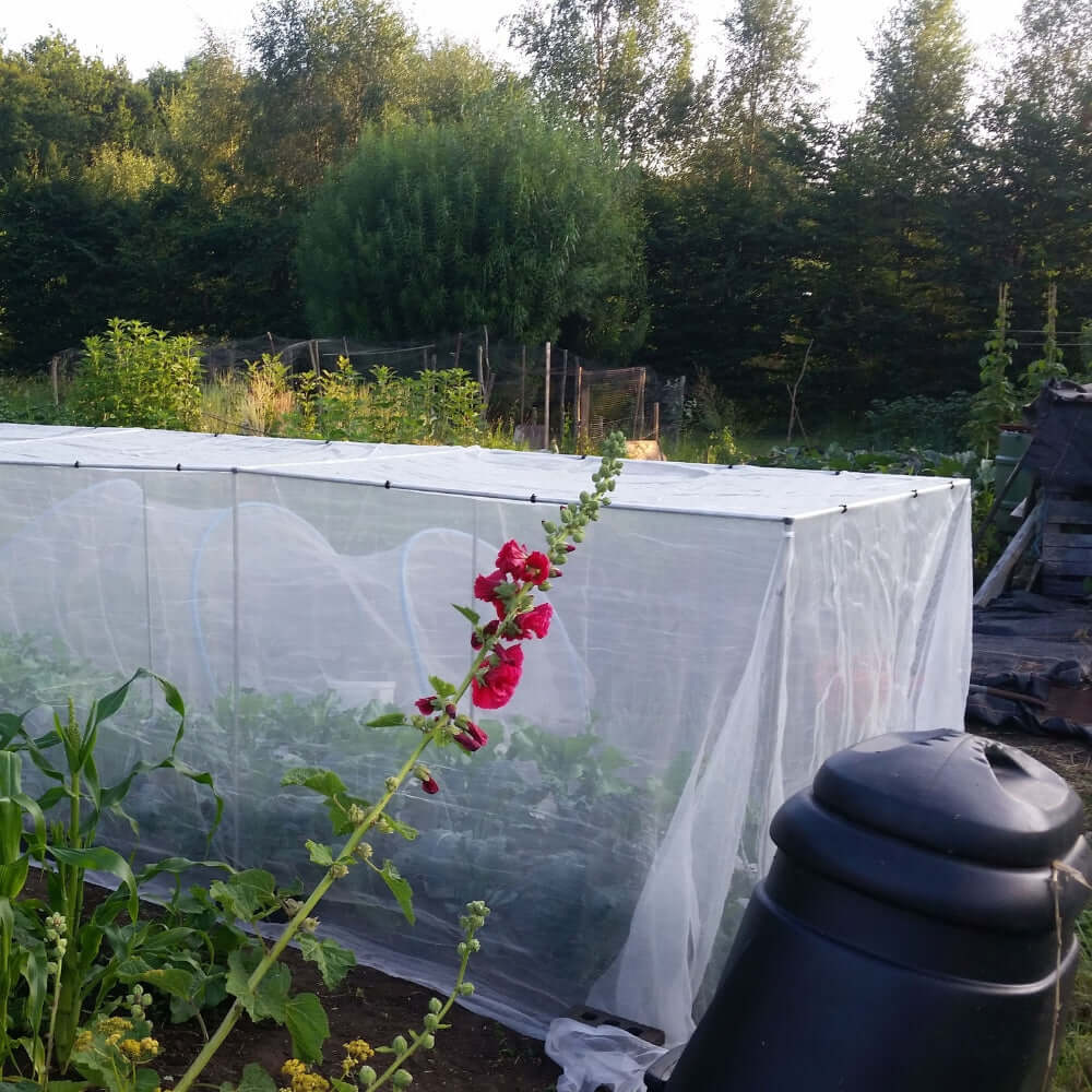 Vegetable cage with veggimesh insect netting in a garden