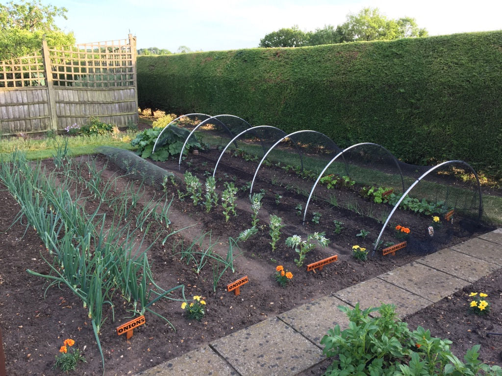 Aluminium garden hoops in a garden full of vegetables