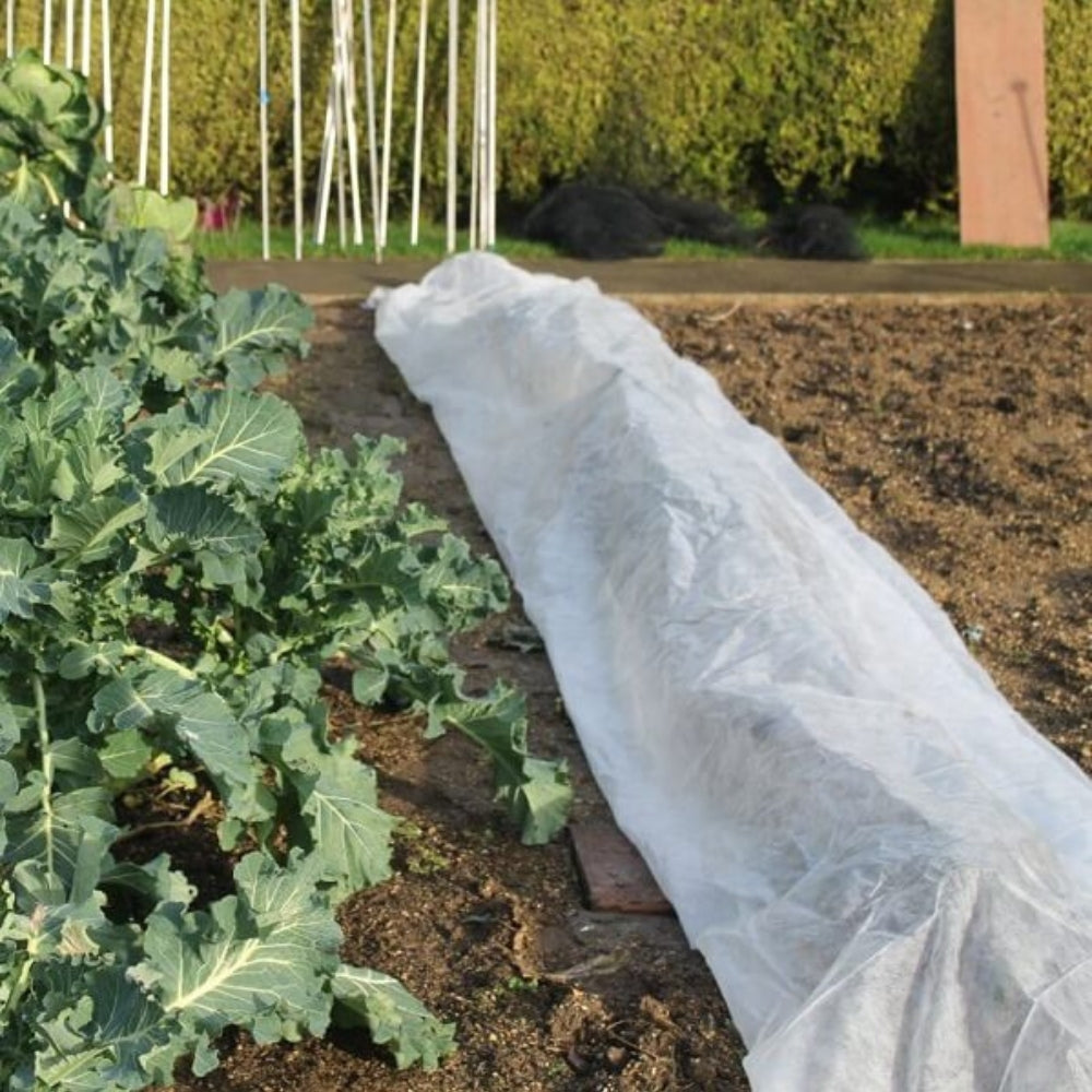 Garden Frost Protection