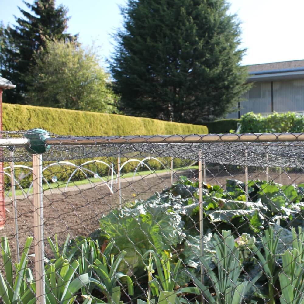 Fruit and Vegetable Cages - Garden Netting