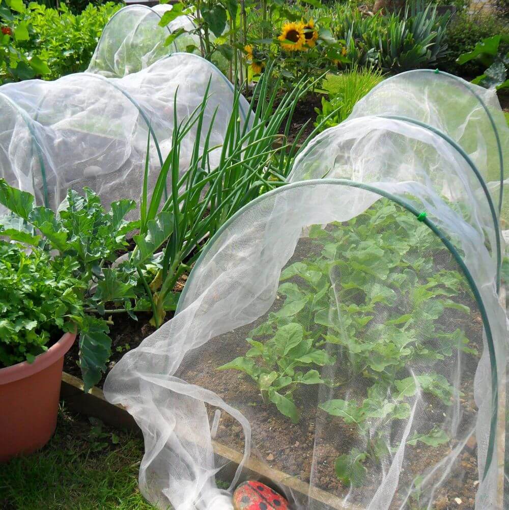 flexible garden hoops covering cops with insect mesh