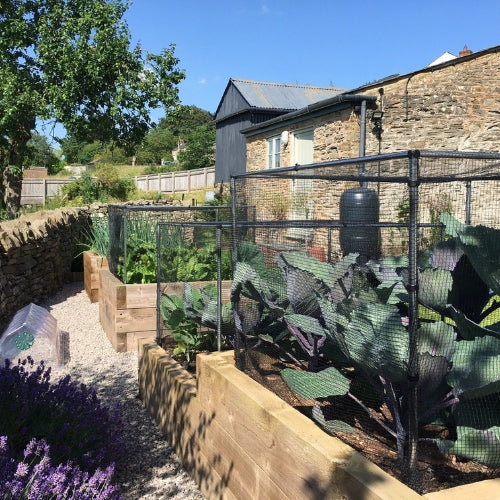 Low cages - Garden Netting