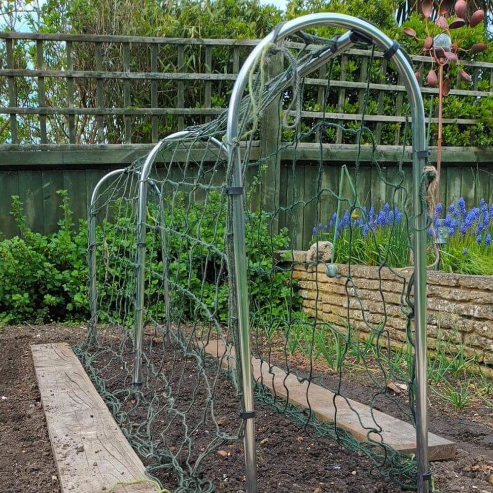 Pea and Bean Frames - Garden Netting