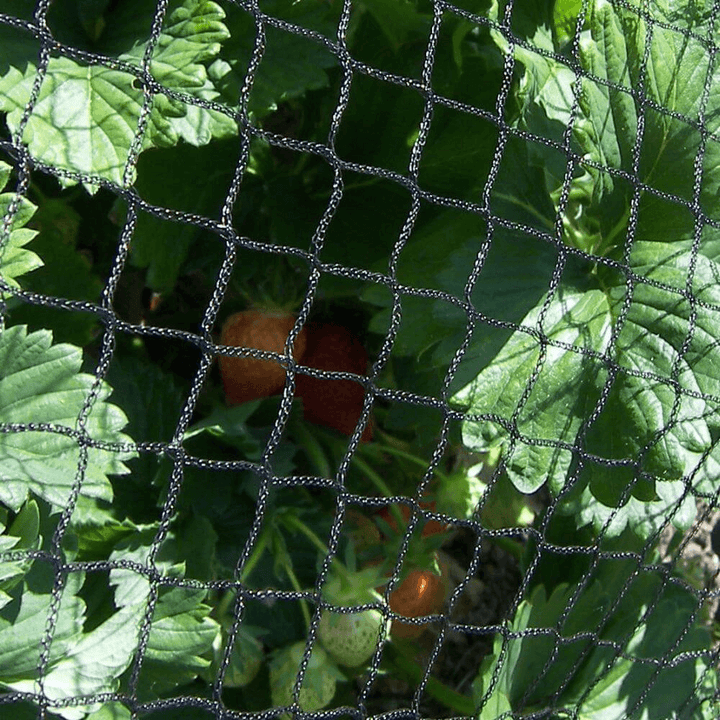 Bird Netting Black