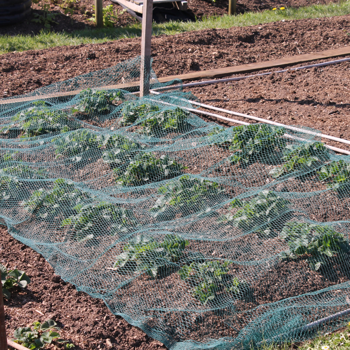 Bird Netting Green