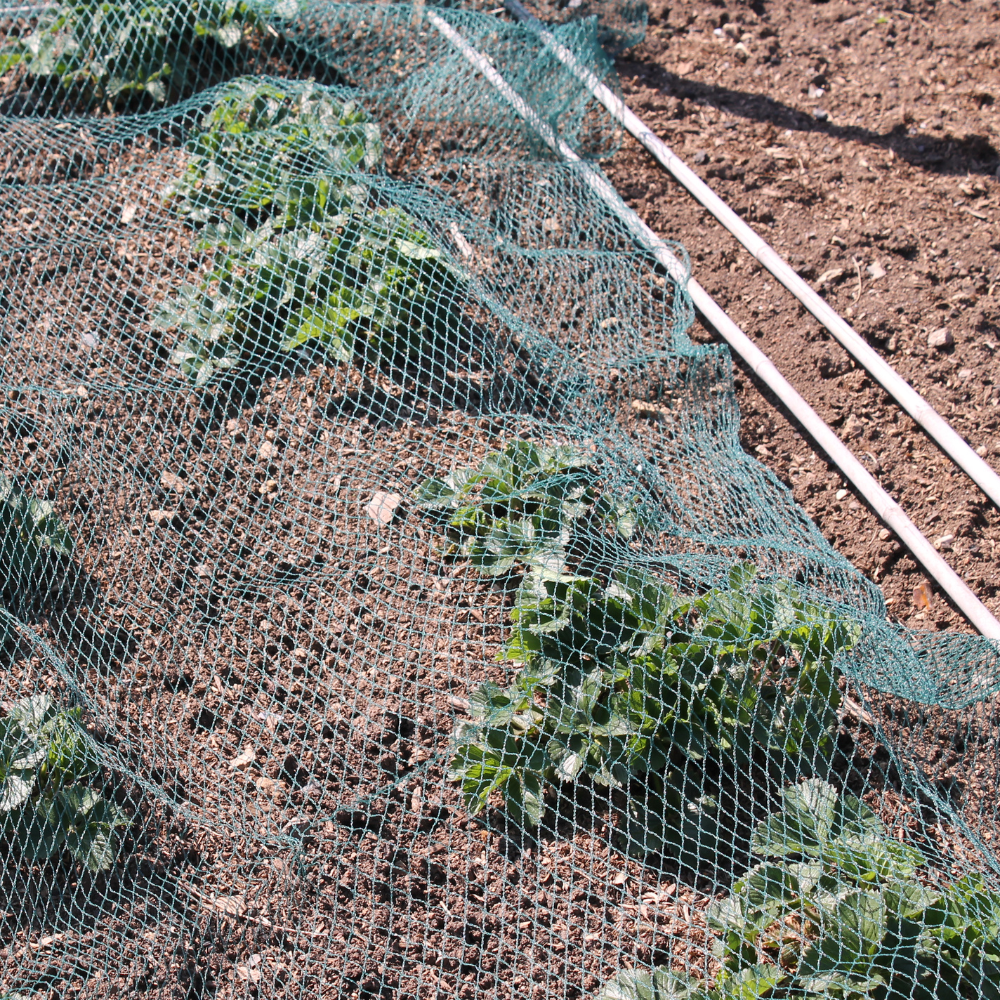 Bird Netting Green