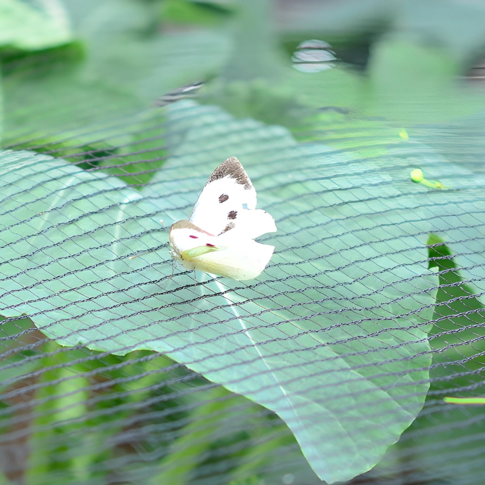 Green Butterfly Netting shown with a white butterfly