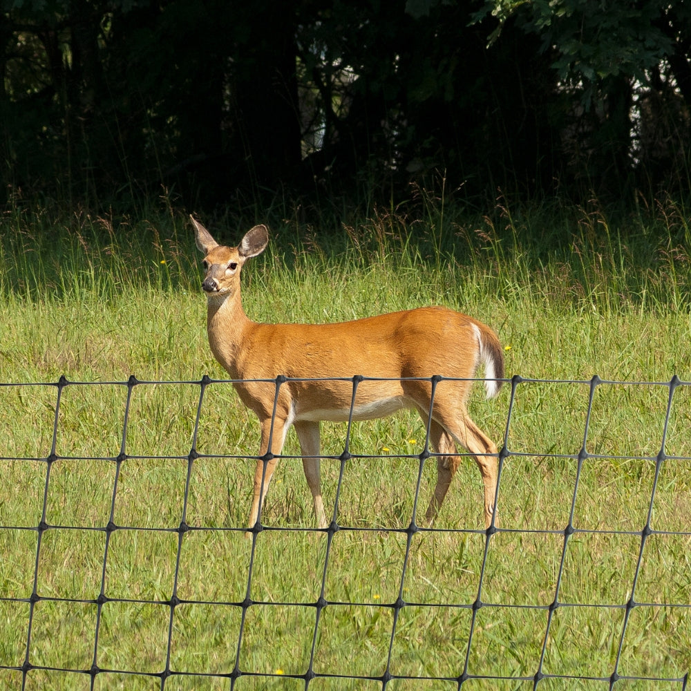 Deer Netting – Garden Netting