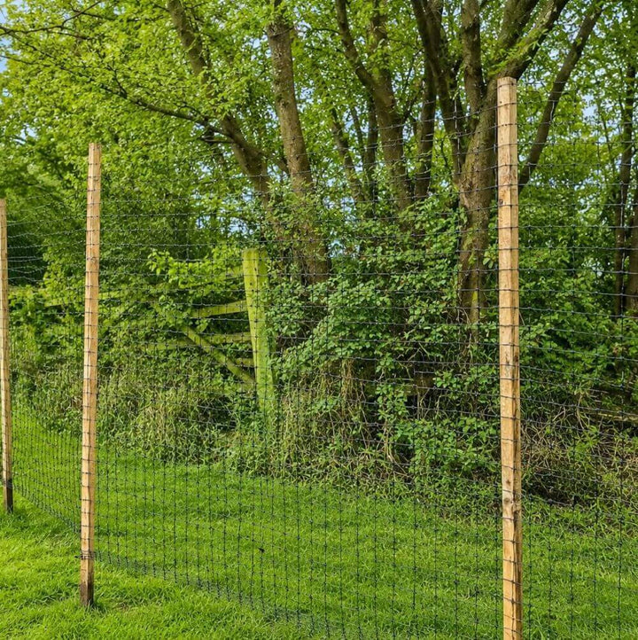 Deer Fence with mesh and wooden posts in a natural setting.