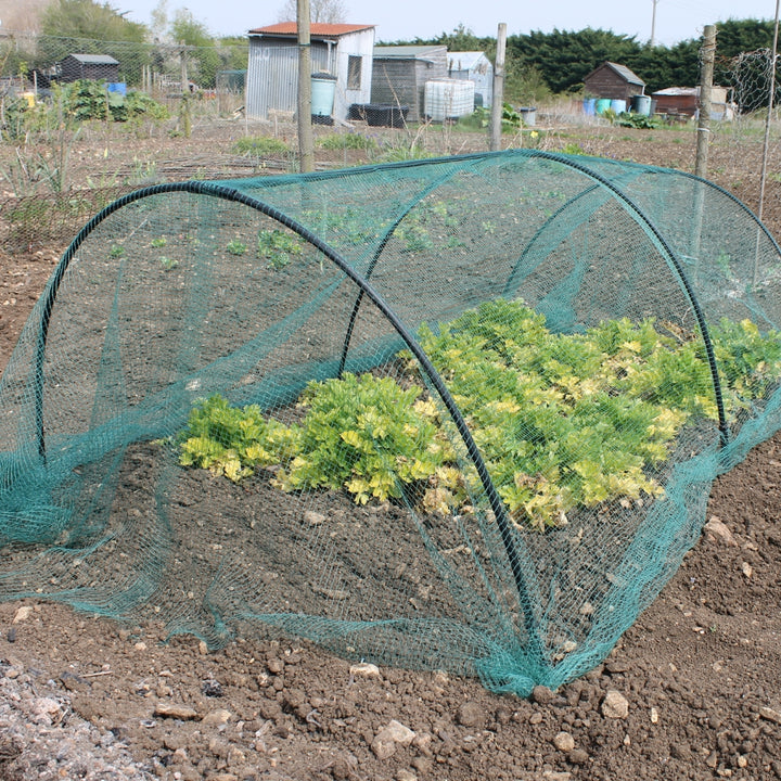 Black Flexible Garden Hoops over Vegetables in a garden