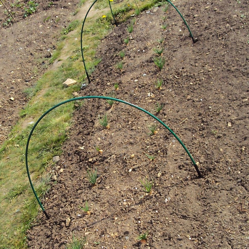 Flexible-Green-Tunnel-Hoops