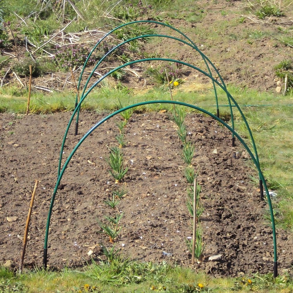 Flexible-green-hoop-tunnel