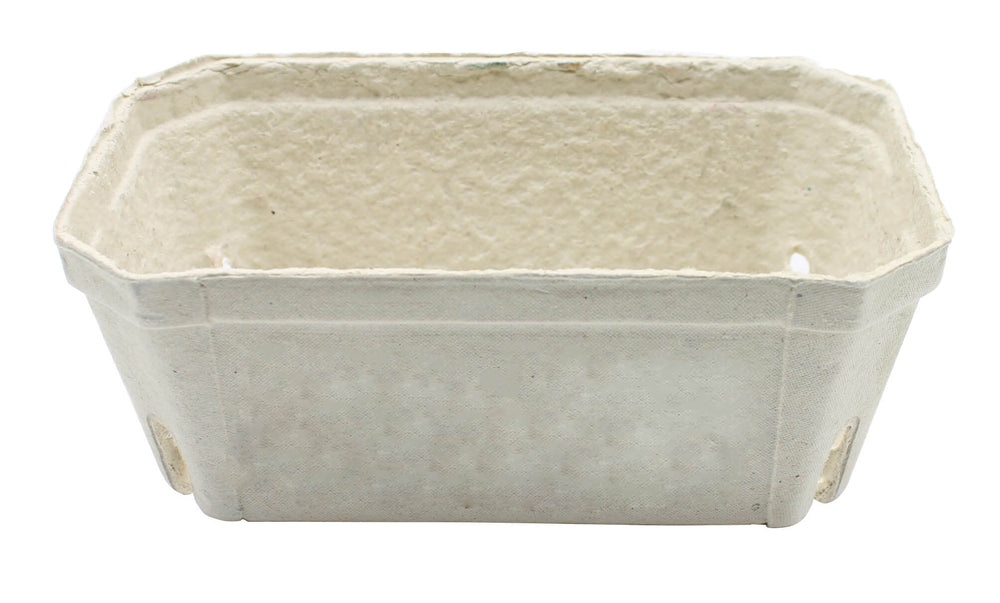 small fruit storage for strawberries