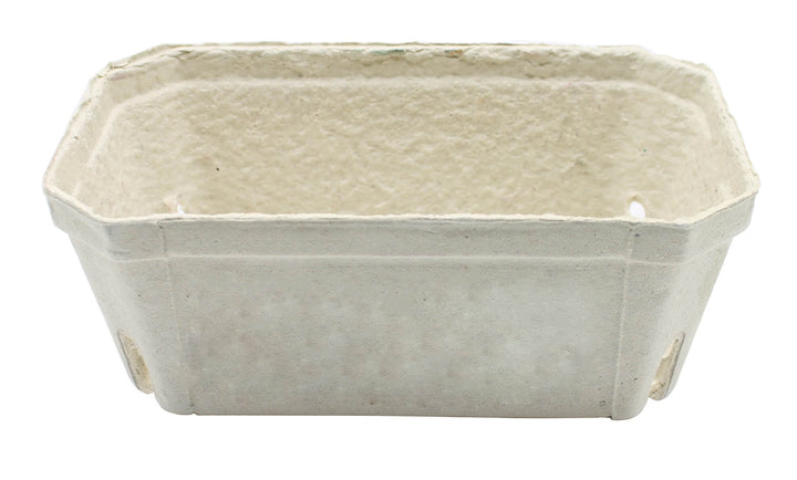 small fruit storage for strawberries