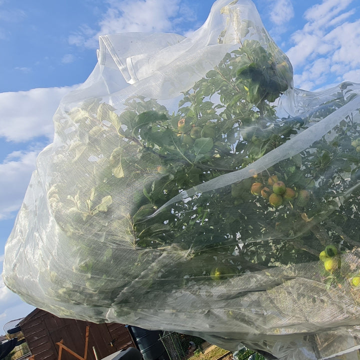 Fruit Tree Netting Bag over a tree