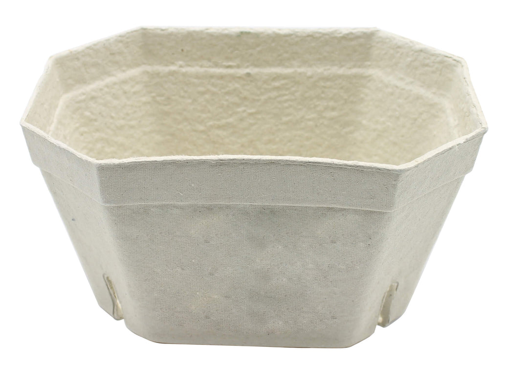 fruit-storage-pot-large