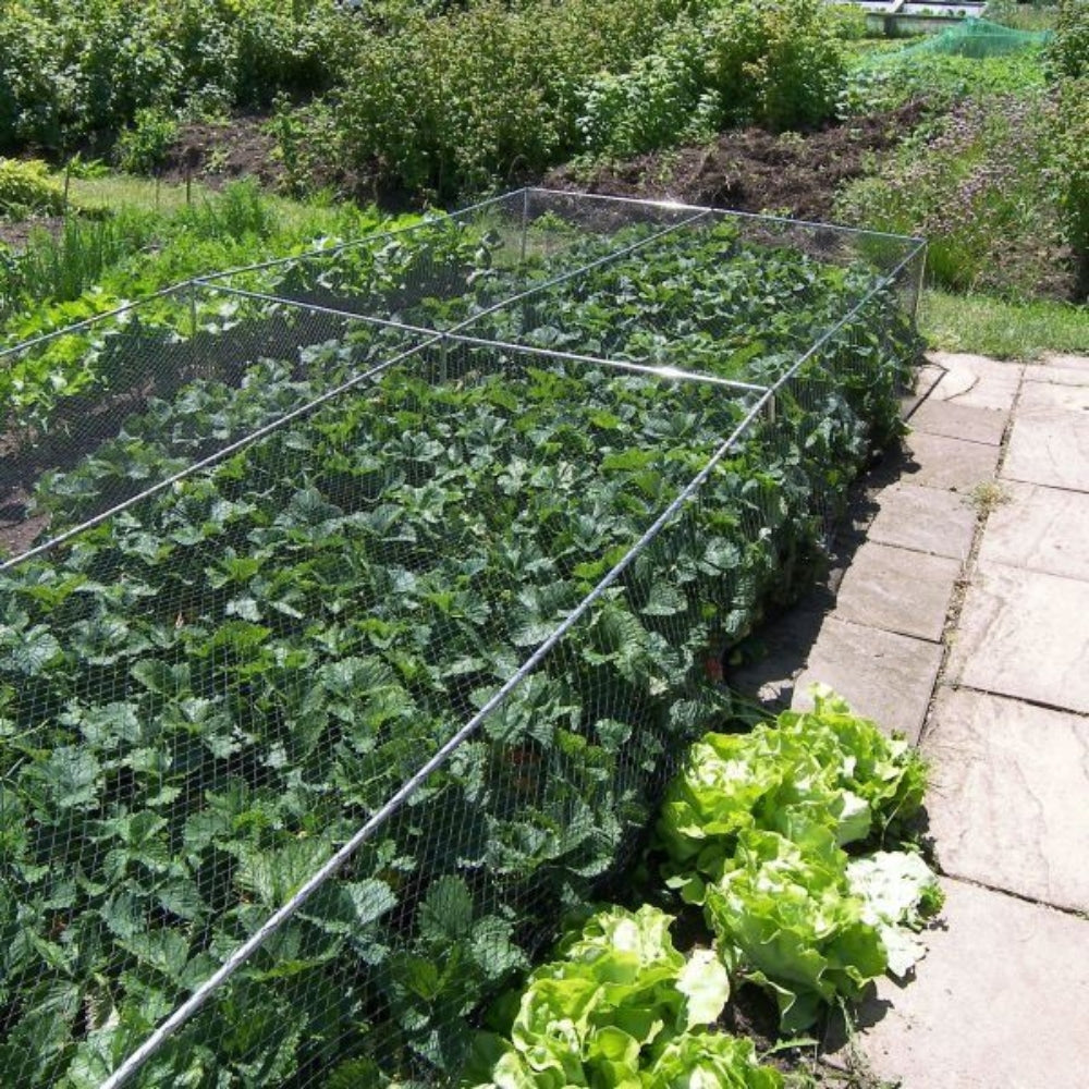 Green-Bird-Netting-On-Cage