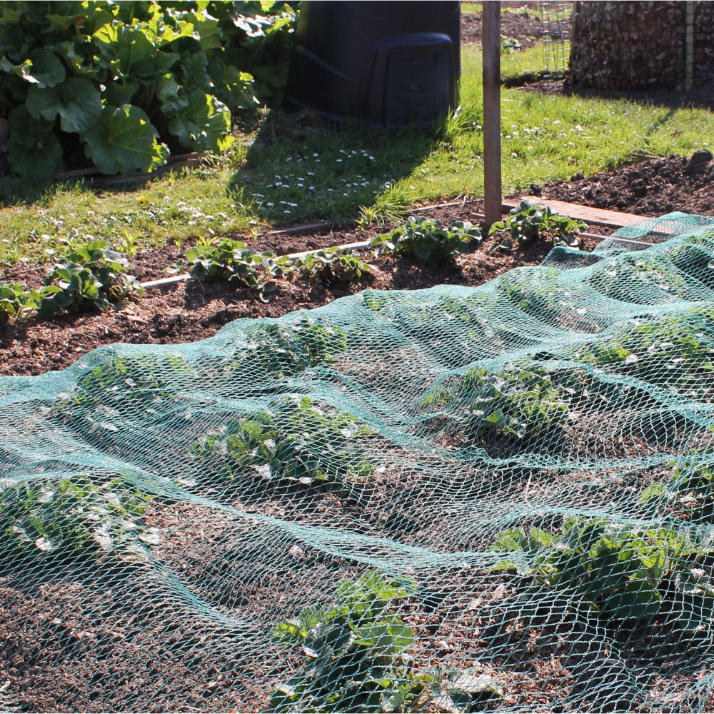 green bird netting laid over crops