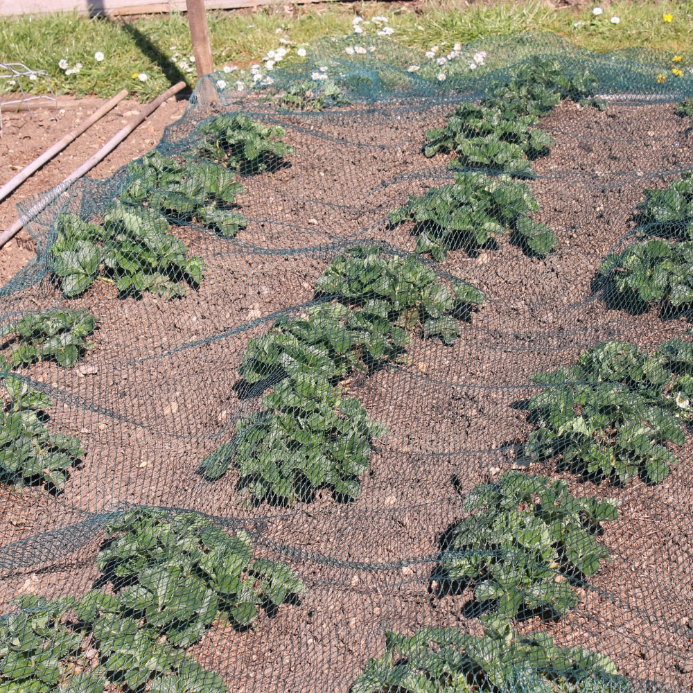 green bird netting stretched over crops for protection
