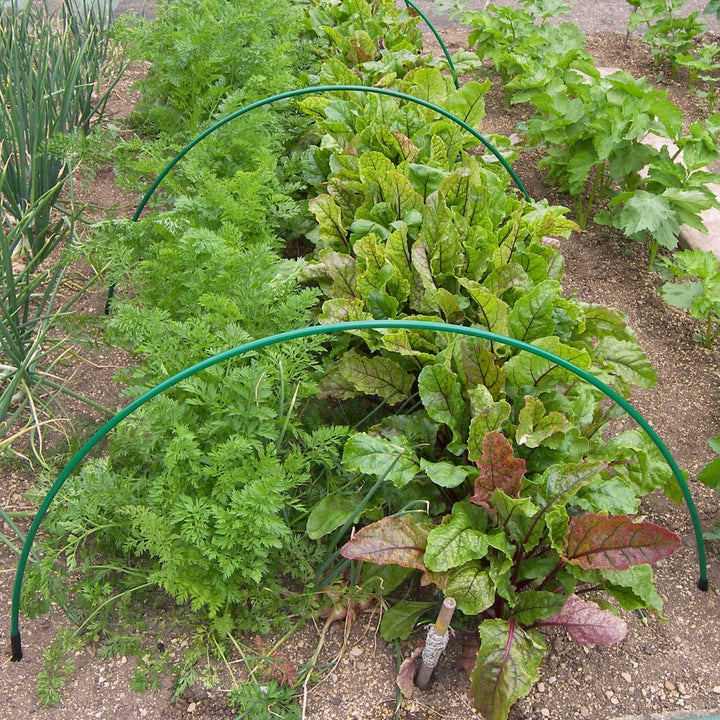 Green Flexible Garden Hoops