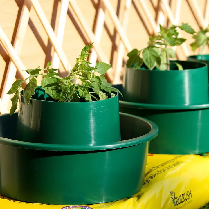 Green-Gro-Pots-for-tomatoes-Close-Up2