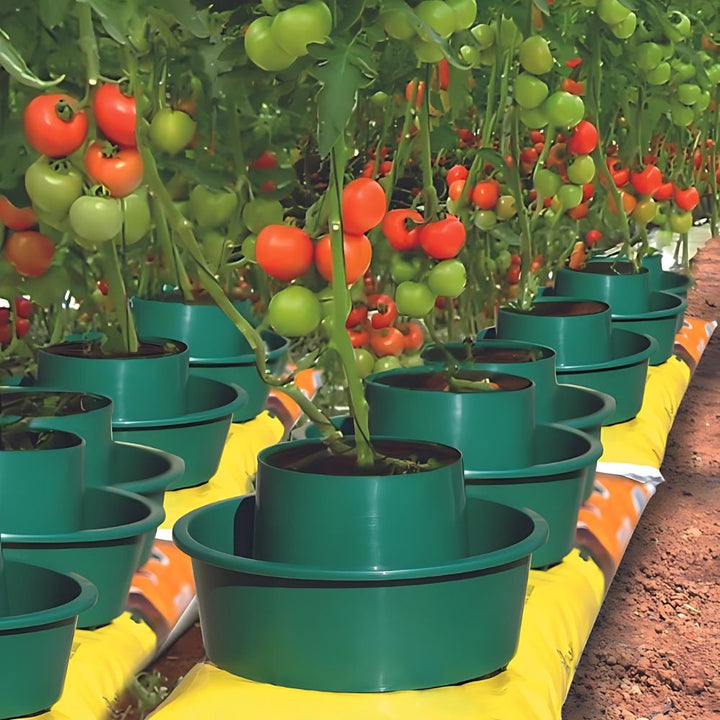 Green-Gro-Pots-for-tomatoes