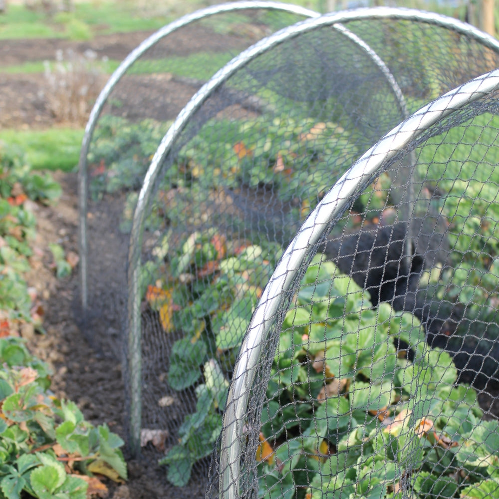 High-top-garden-hoop-tunnels