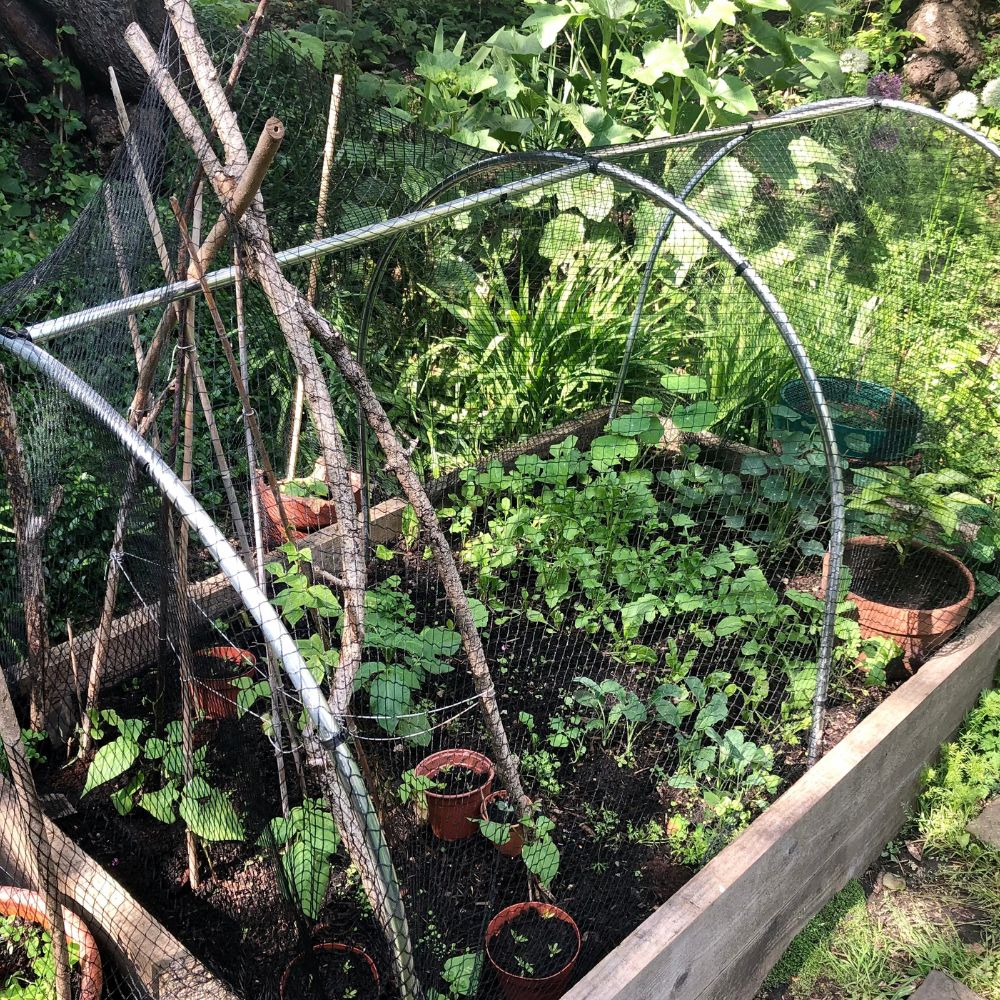 Hoop-Support-Bars-for-garden-cages