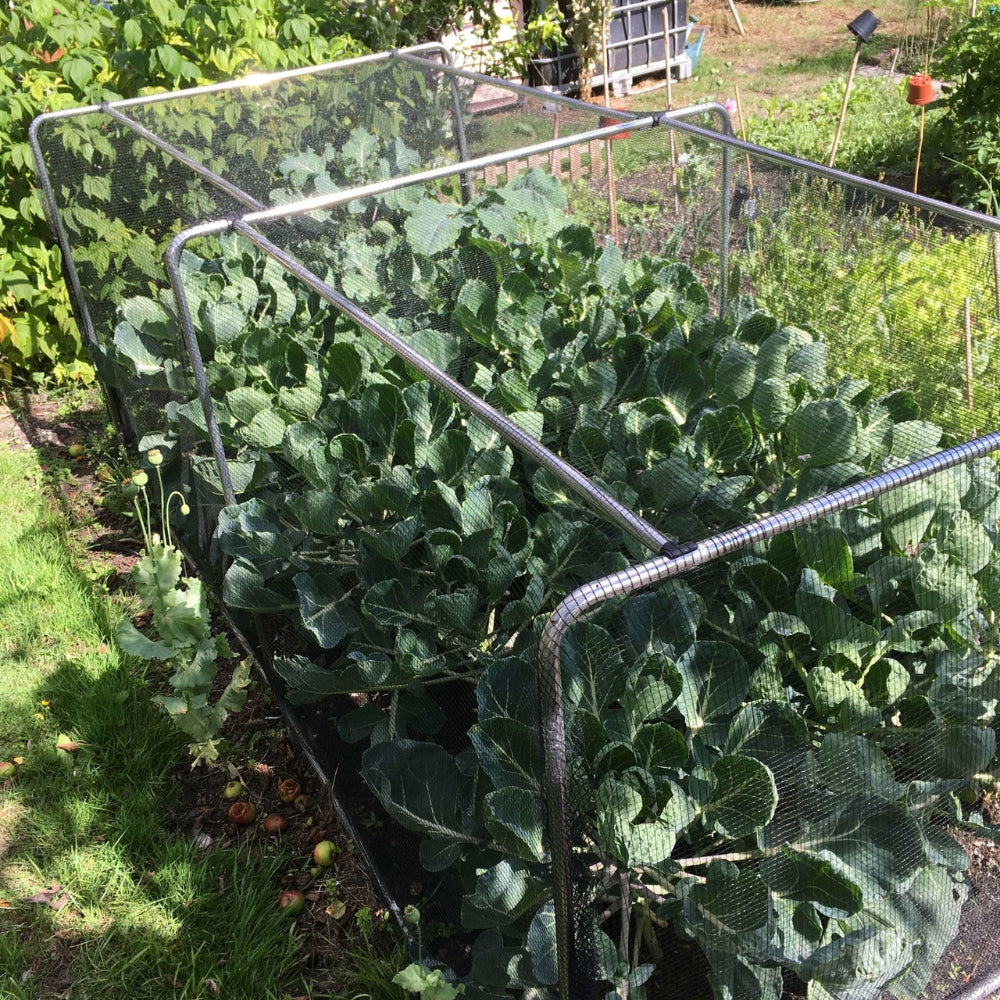 Garden Tunnel showing hoop support bars