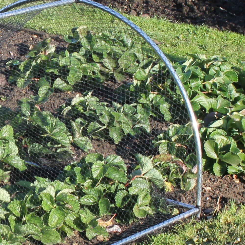 Hooped Tunnels - Round Hoops - Garden Netting