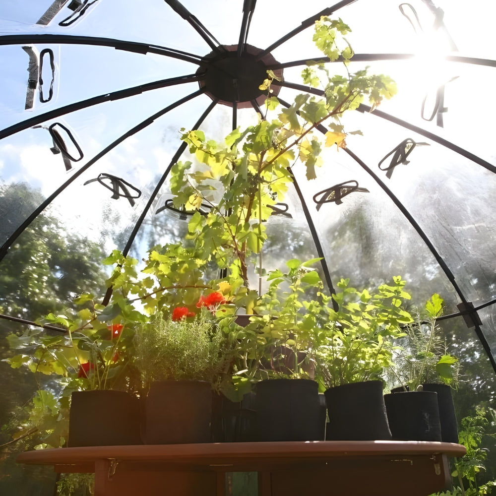 Inside sunbubble with lots of plants on a table