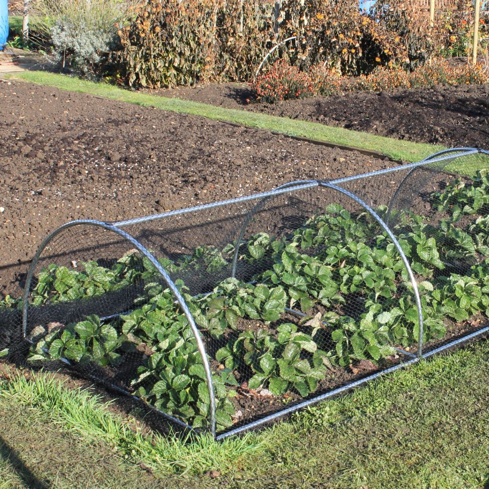 Hooped Garden Tunnels – Garden Netting