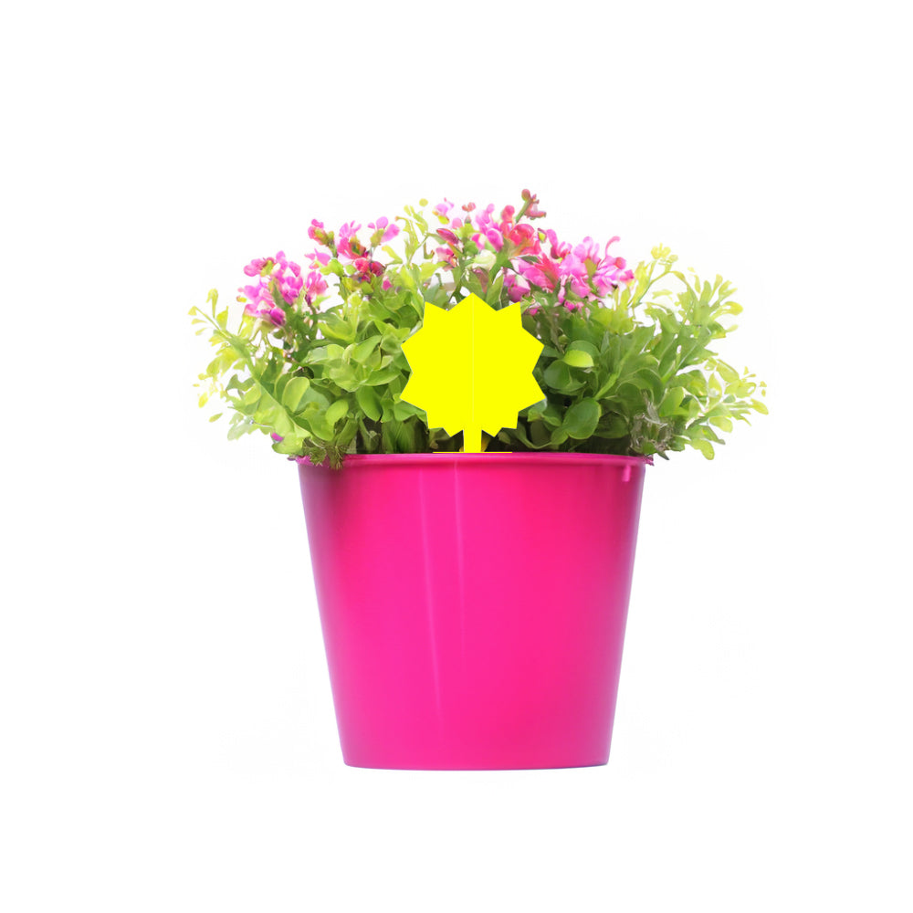 Pink flowerpot with green plants and a yellow star-shaped tag on a white background