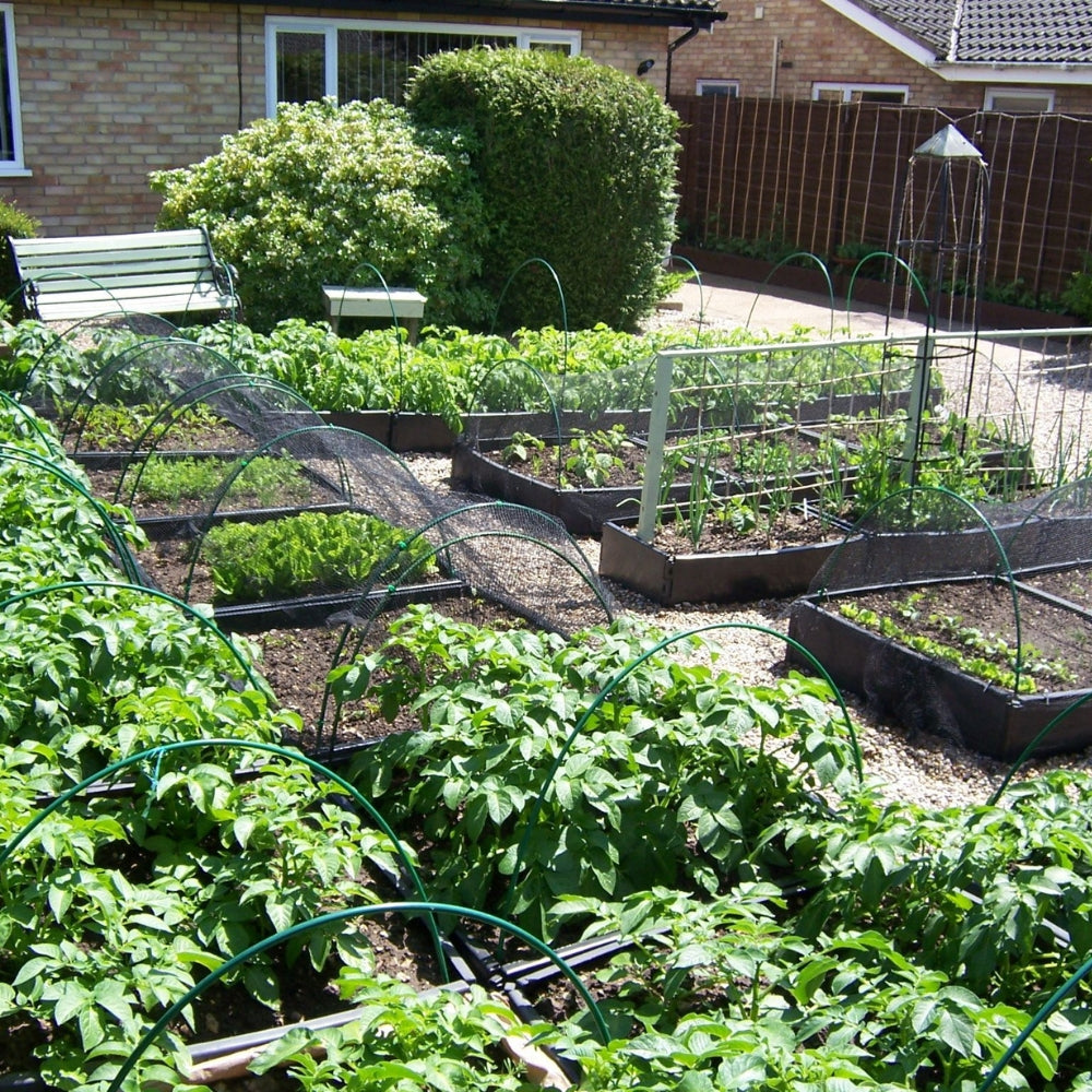 Multiple Green Flexible Hoops over multiple planters