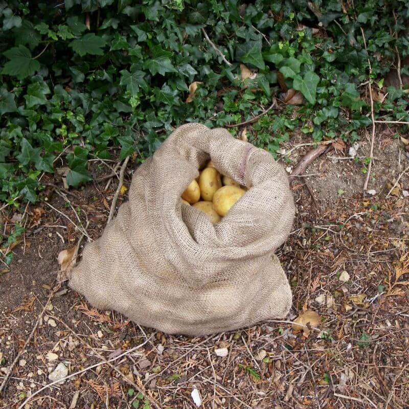 Potato Sacks for Storing Home Grown Potatoes