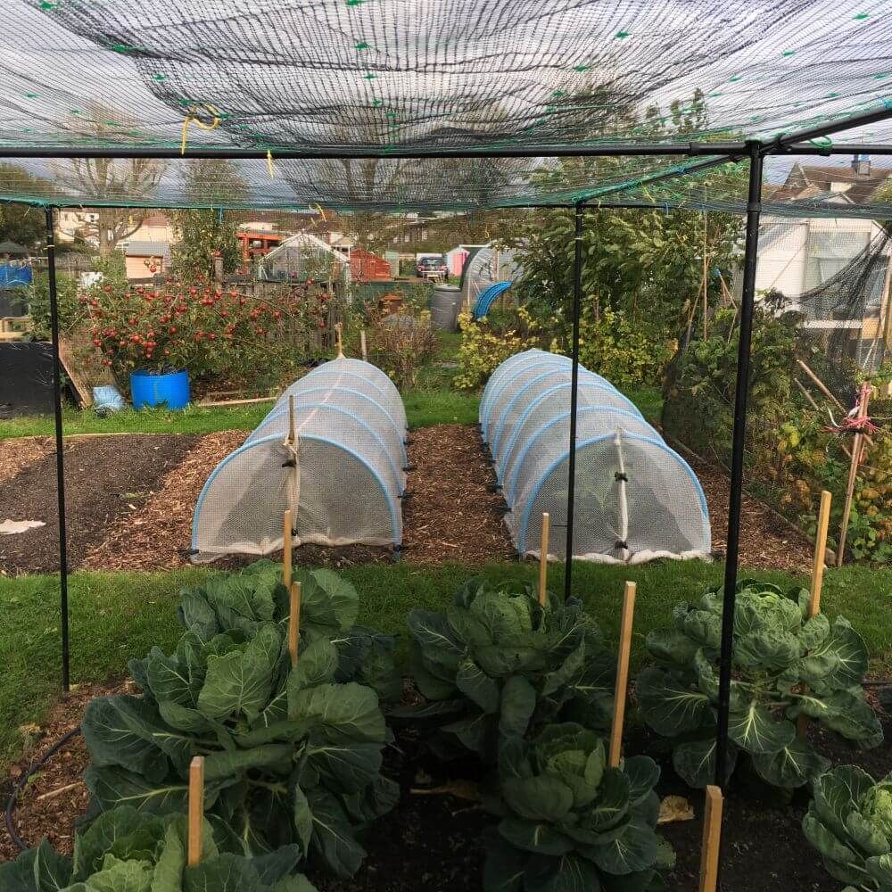 Premium Vegetable Cages – Garden Netting